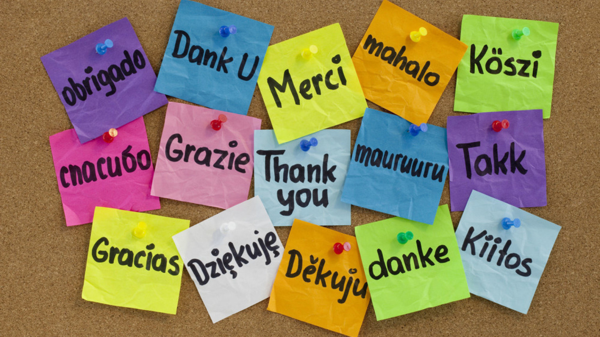 Fondo de pantalla How To Say Thank You in Different Languages 1920x1080