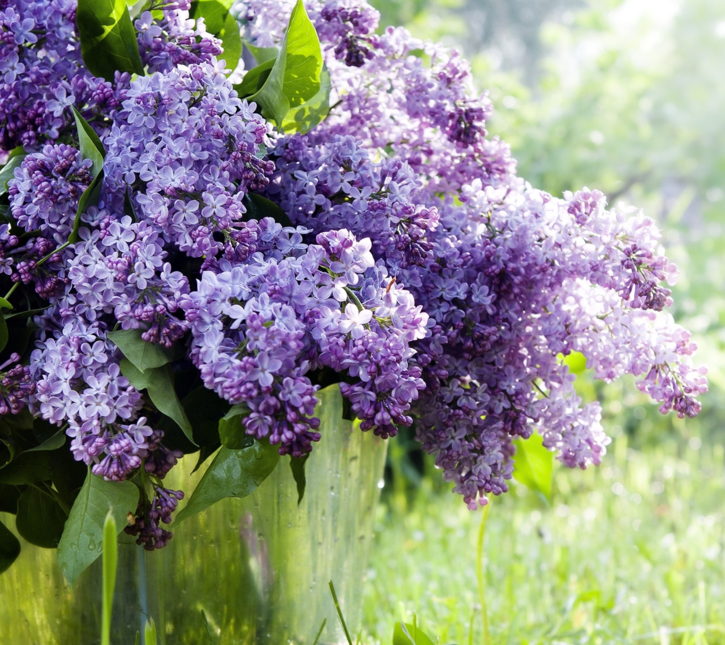 Spring Lilac wallpaper 1440x1280