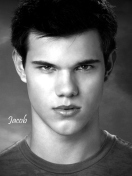 Taylor Lautner screenshot #1 132x176