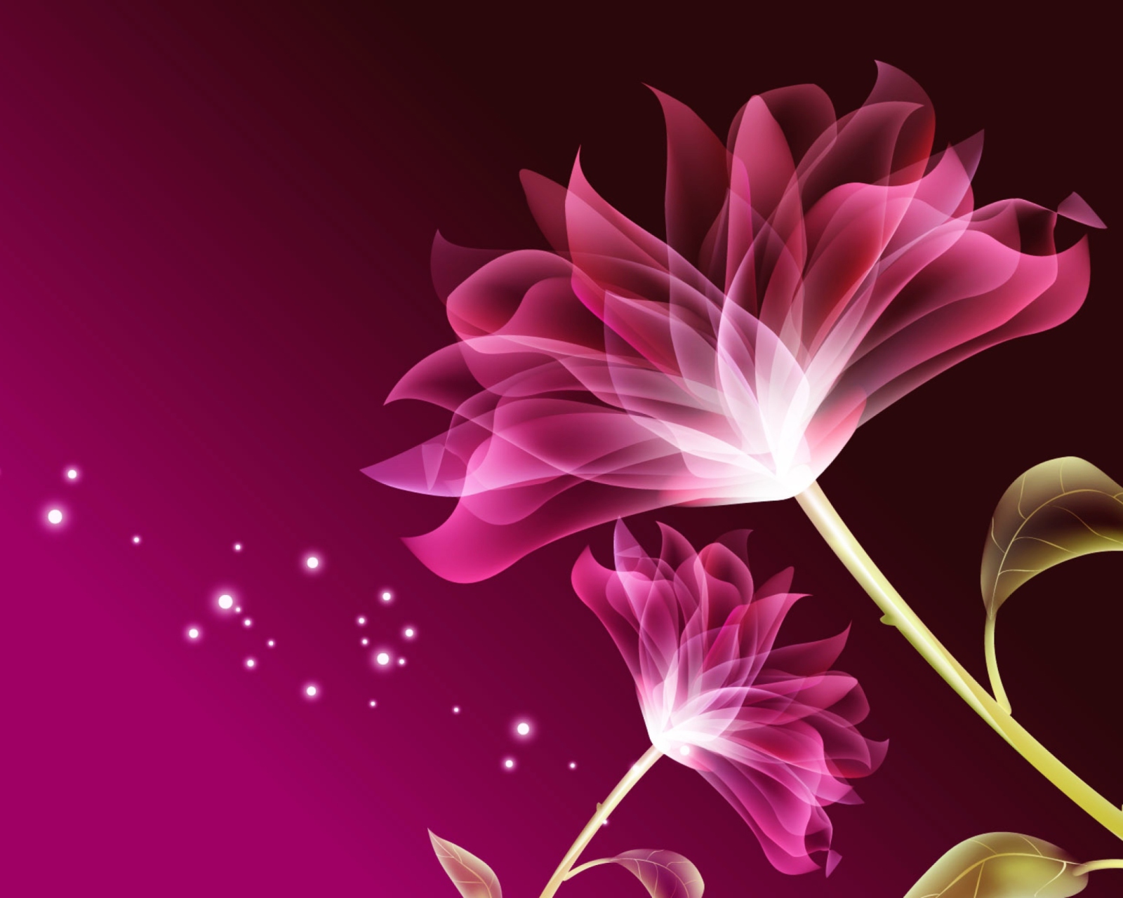 Drawing Flowers Lotus screenshot #1 1600x1280