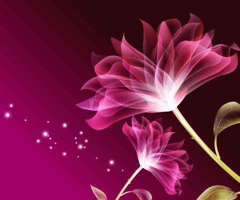 Drawing Flowers Lotus screenshot #1 480x400