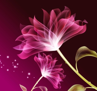 Drawing Flowers Lotus Background for iPad 3