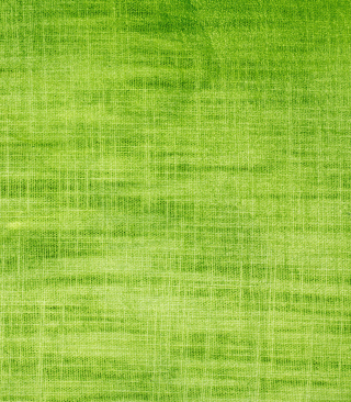 Green Threads papel de parede para celular para Nokia C2-06