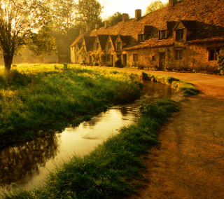 Morning In England - Obrázkek zdarma pro 208x208