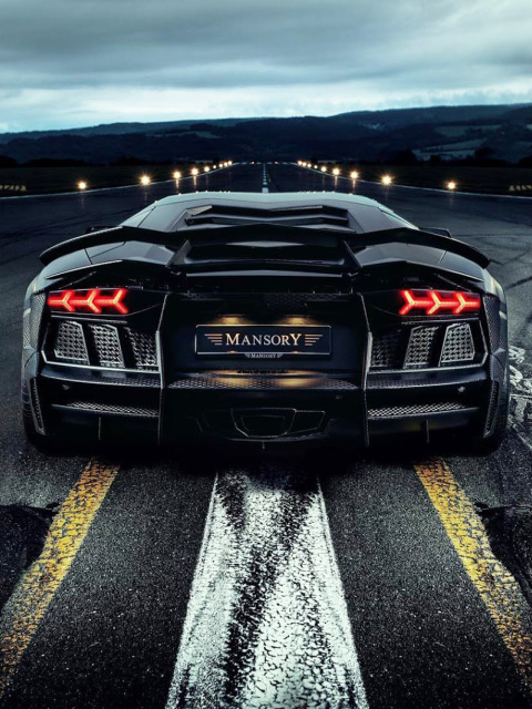 Screenshot №1 pro téma Lamborghini Aventador Mansory 480x640
