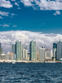 San Diego Skyline screenshot #1 240x320