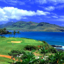 Paradise Golf Field wallpaper 128x128