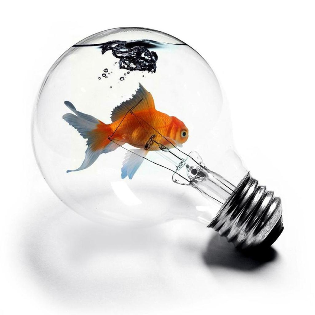 Screenshot №1 pro téma Fish In Light Bulb 1024x1024