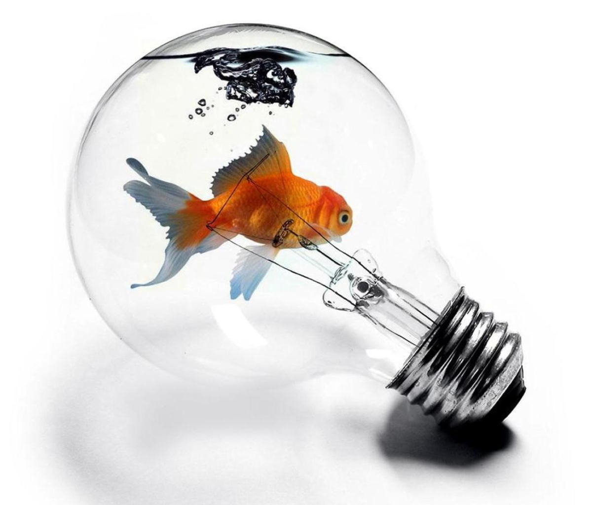 Sfondi Fish In Light Bulb 1200x1024