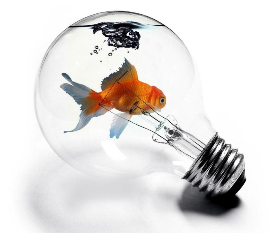 Обои Fish In Light Bulb 960x800