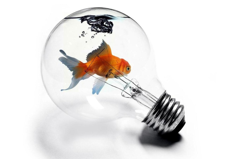 Обои Fish In Light Bulb