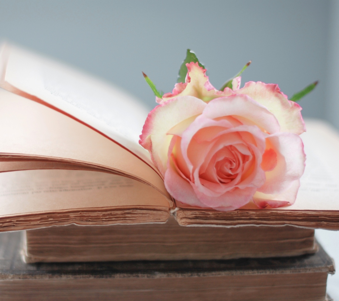 Das Pink Rose On Vintage Book Wallpaper 1080x960