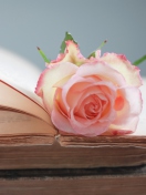 Fondo de pantalla Pink Rose On Vintage Book 132x176