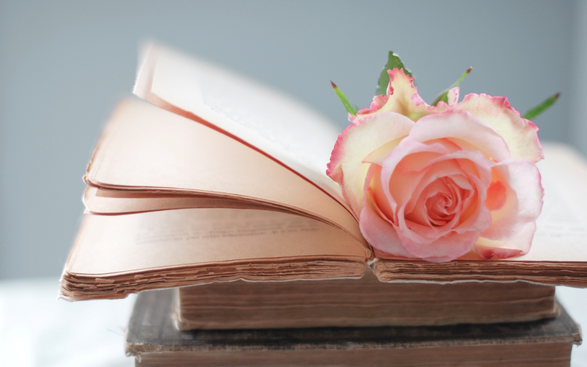 Pink Rose On Vintage Book screenshot #1 1920x1200