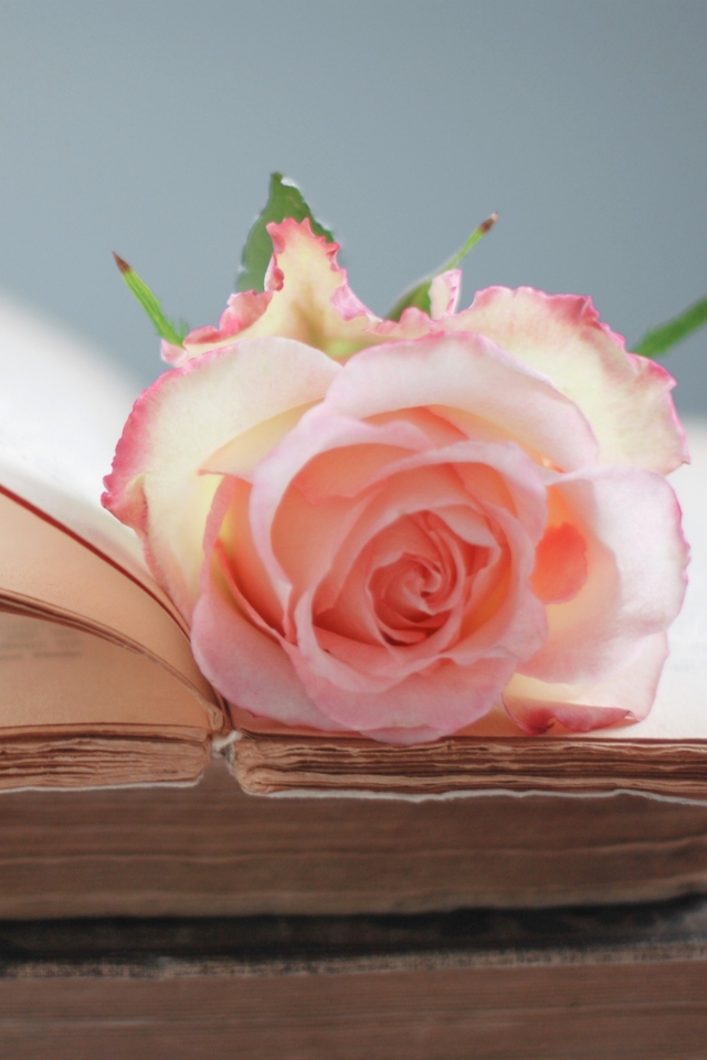 Screenshot №1 pro téma Pink Rose On Vintage Book 640x960