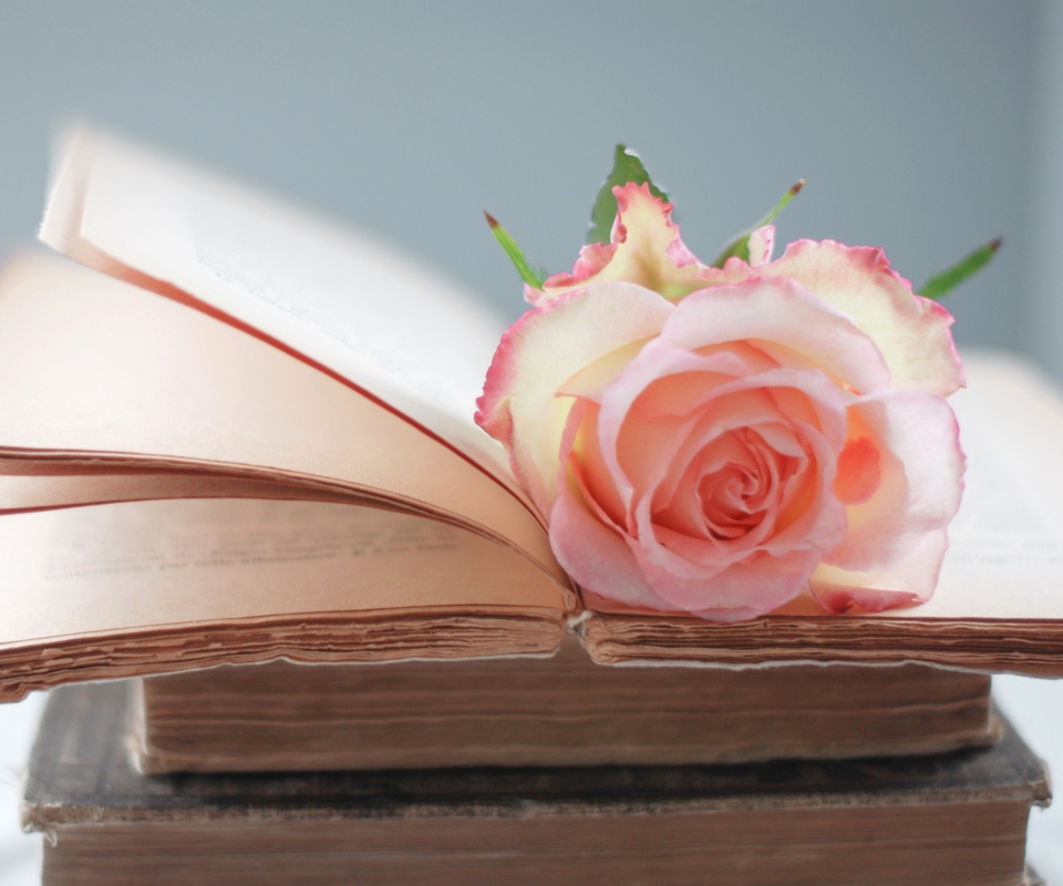 Pink Rose On Vintage Book wallpaper 960x800