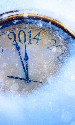 Screenshot №1 pro téma New Year 2014 240x400