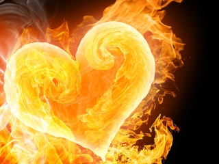 Love Is Fire wallpaper 320x240