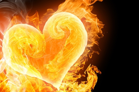 Fondo de pantalla Love Is Fire 480x320