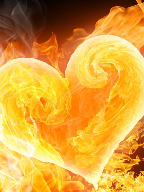 Love Is Fire wallpaper 480x640