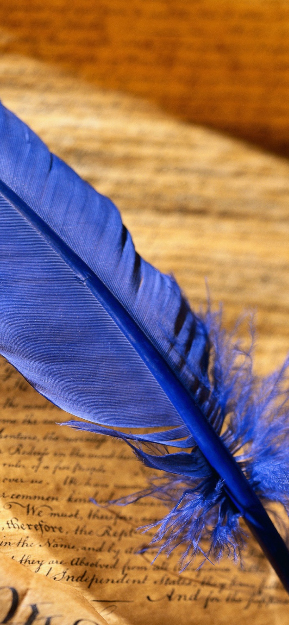 Blue Writing Feather wallpaper 1170x2532