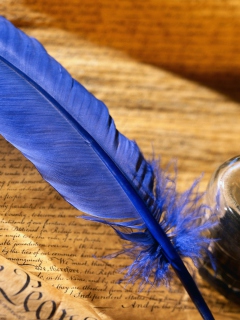 Blue Writing Feather wallpaper 240x320