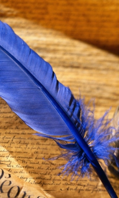 Blue Writing Feather wallpaper 240x400