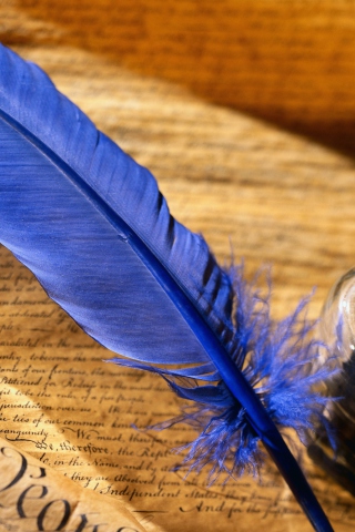 Das Blue Writing Feather Wallpaper 320x480