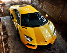 Обои Yellow Lamborghini Aventador 220x176
