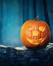 Sfondi Pumpkin for Halloween 176x220
