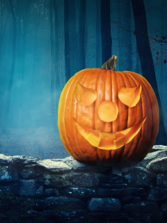 Fondo de pantalla Pumpkin for Halloween 240x320