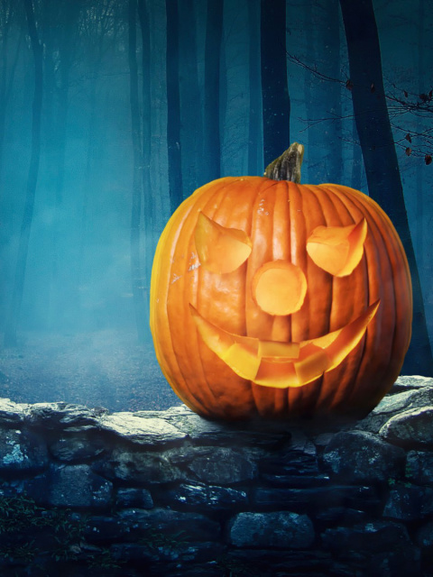 Pumpkin for Halloween wallpaper 480x640