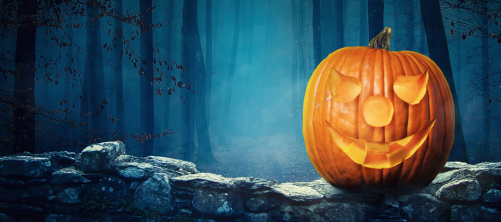 Sfondi Pumpkin for Halloween 720x320