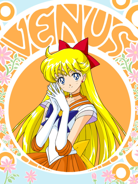 Обои Sailor Moon 480x640