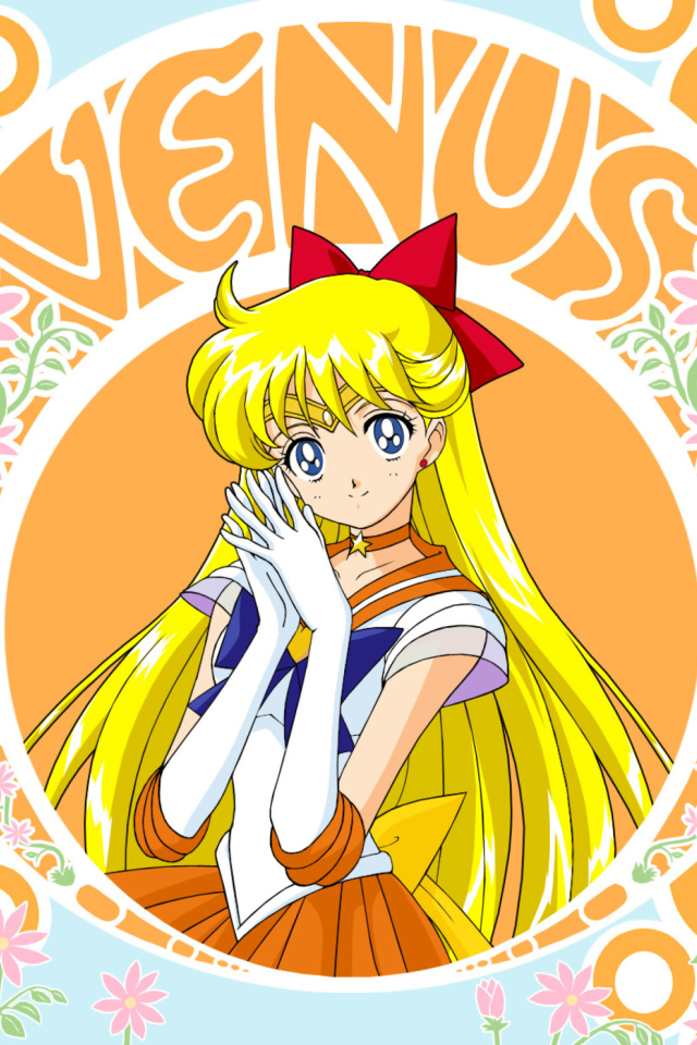 Fondo de pantalla Sailor Moon 640x960