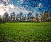 Fondo de pantalla Green Grass In Spring 176x144