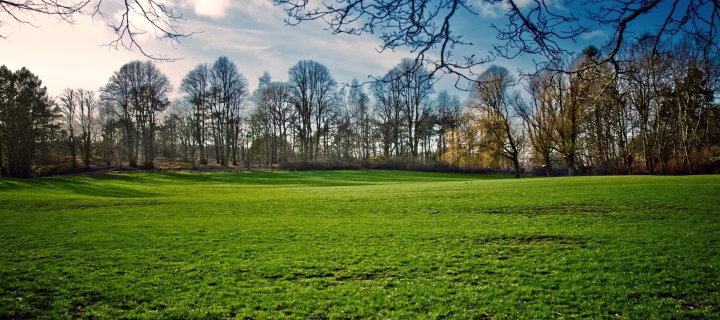 Sfondi Green Grass In Spring 720x320