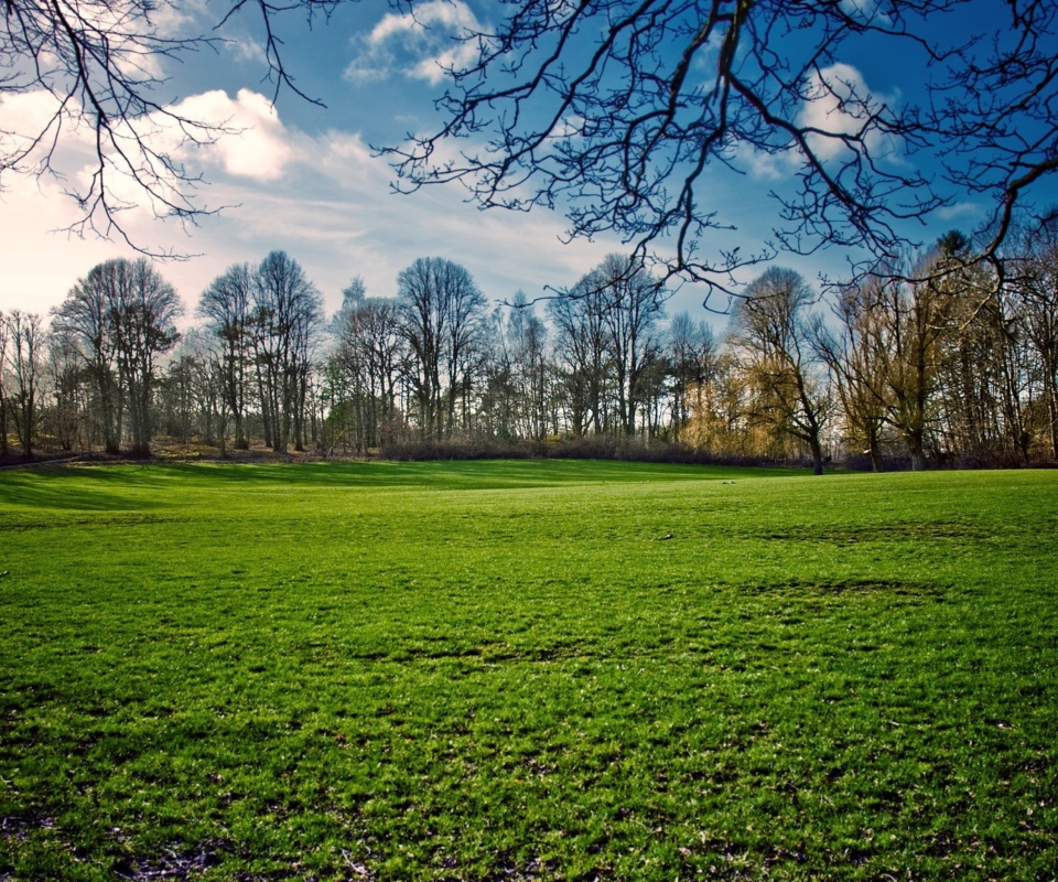 Green Grass In Spring screenshot #1 960x800