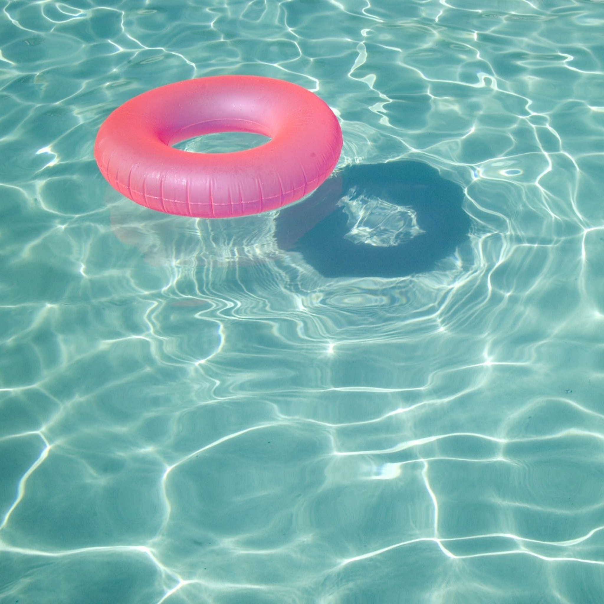 Sfondi Summer Swim 2048x2048