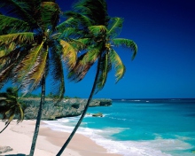 Paradise Beach screenshot #1 220x176