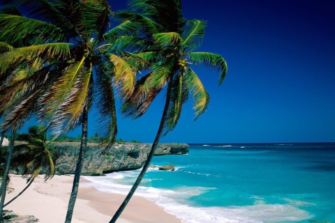 Paradise Beach screenshot #1 480x320