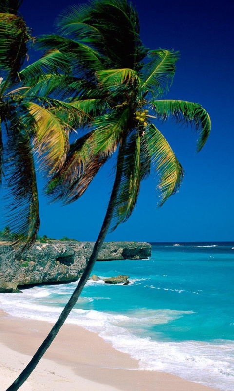 Fondo de pantalla Paradise Beach 480x800