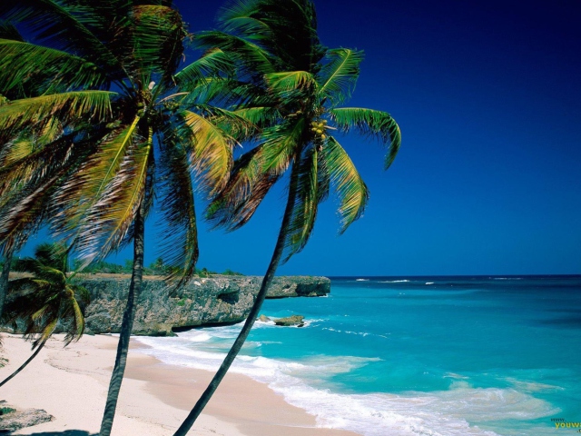 Paradise Beach screenshot #1 640x480