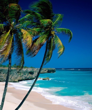 Paradise Beach - Fondos de pantalla gratis para Nokia C1-01