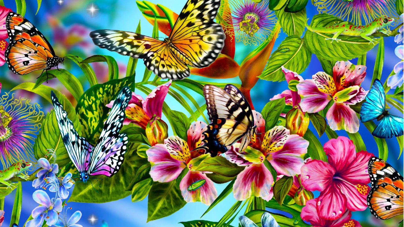 Sfondi Discover Butterfly Meadow 1600x900