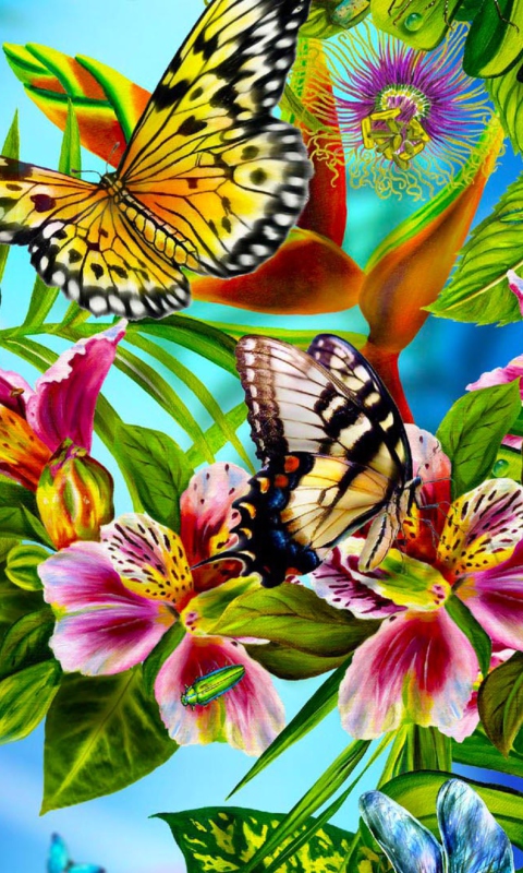 Das Discover Butterfly Meadow Wallpaper 480x800