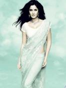 Fondo de pantalla Katrina Kaif In Saree 132x176