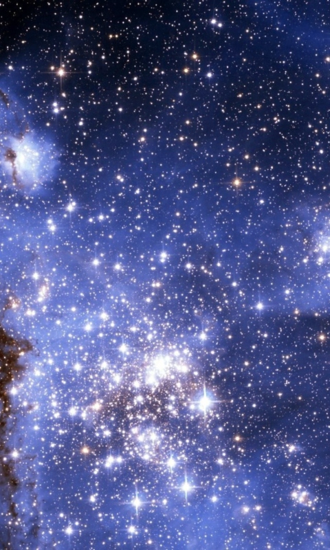 Cold Stars wallpaper 480x800