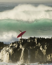 Das Extreme Surfing Wallpaper 176x220