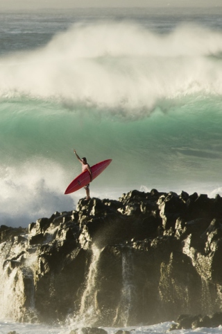 Extreme Surfing wallpaper 320x480